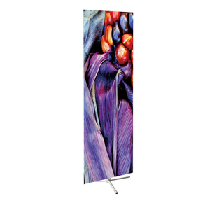Event Display Enry-effektiv Roll Up Banner